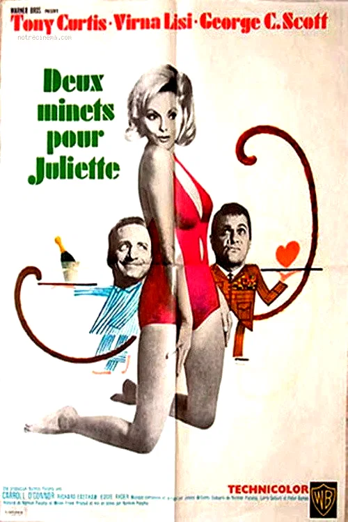 Affiche du film : Deux minets pour juliette
