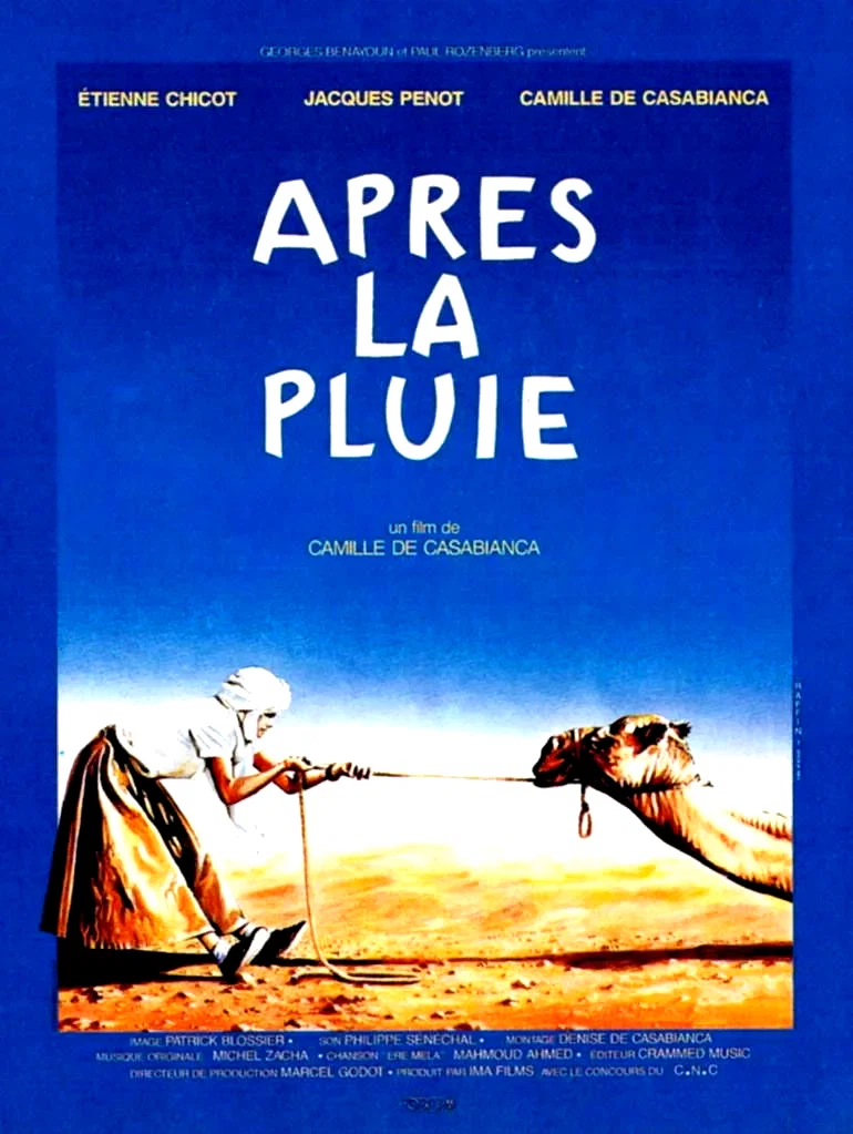 Affiche du film : Apres la pluie