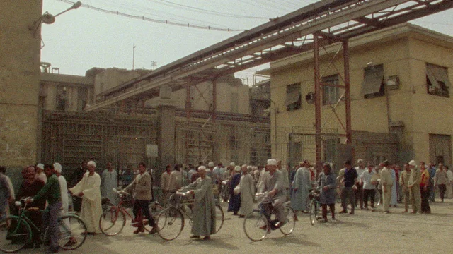 Photo 2 du film : Trop tot, trop tard