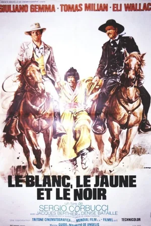 Affiche du film : Le Blanc, le Jaune et le Noir
