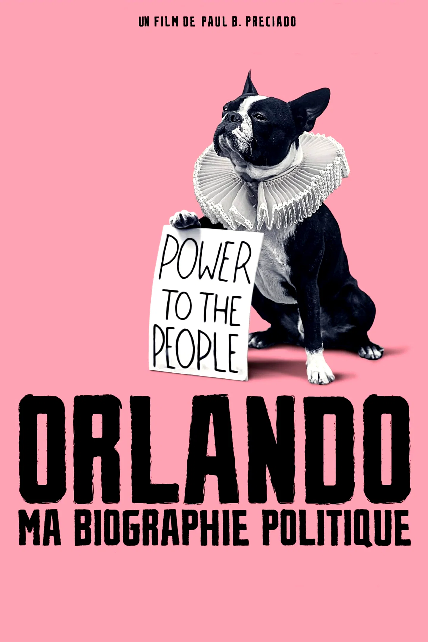 Affiche du film : Orlando, ma biographie politique