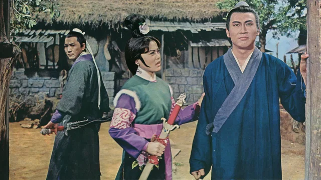 Photo 3 du film : La Vengeance du dragon noir