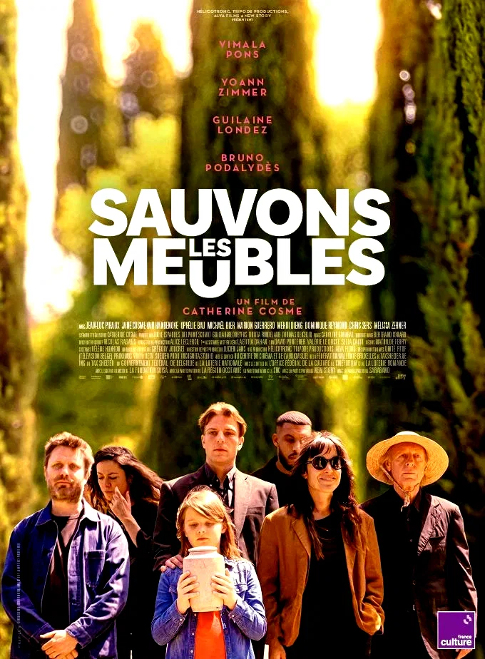 Affiche du film : Sauvons les meubles