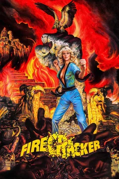 Affiche du film Attaque a mains nues
