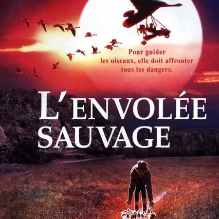 Miniature photo du film : L'Envolée sauvage