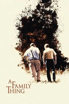 Affiche du film = La couleur du destin
