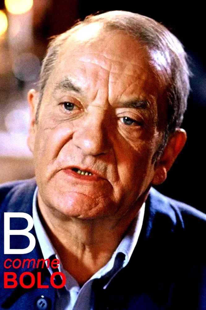 Affiche du film : B comme bolo
