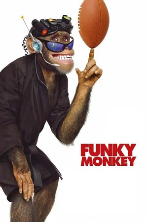 Affiche du film : Le singe funky