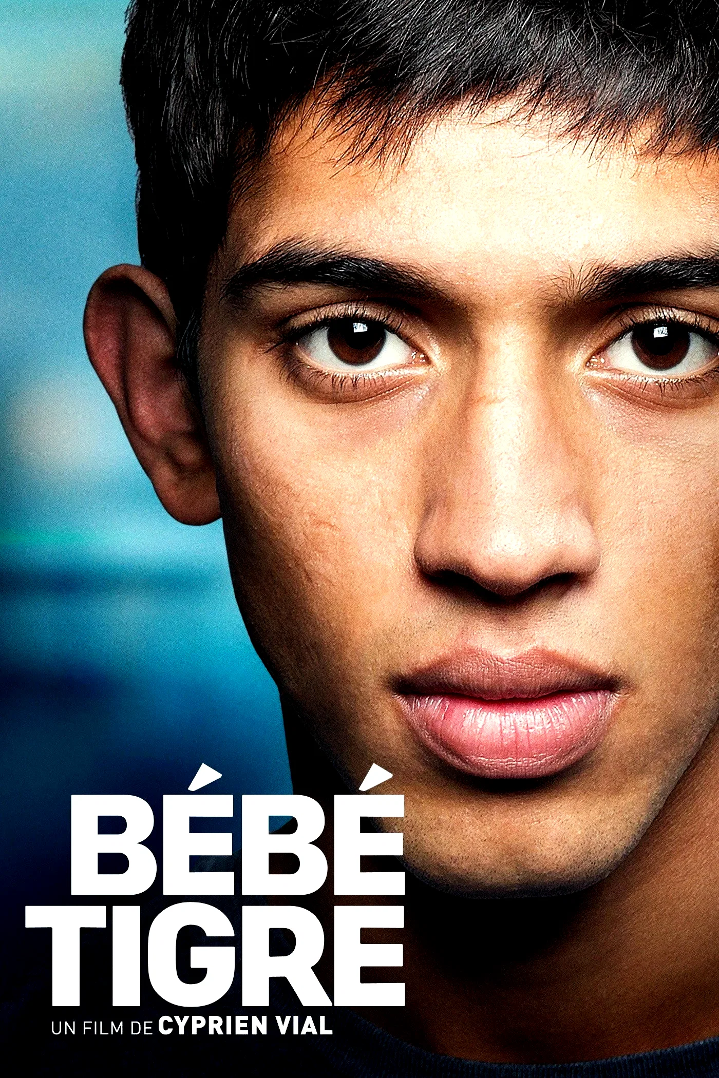 Photo 2 du film : Bébé Tigre