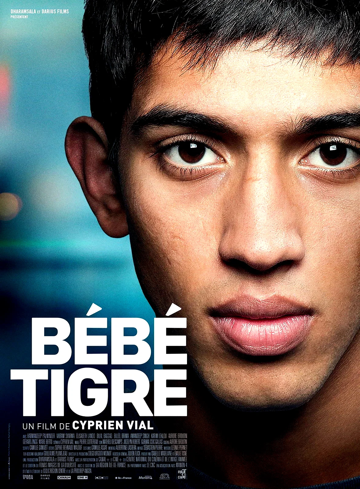 Photo 4 du film : Bébé Tigre