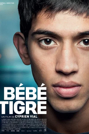Photo 4 du film : Bébé Tigre