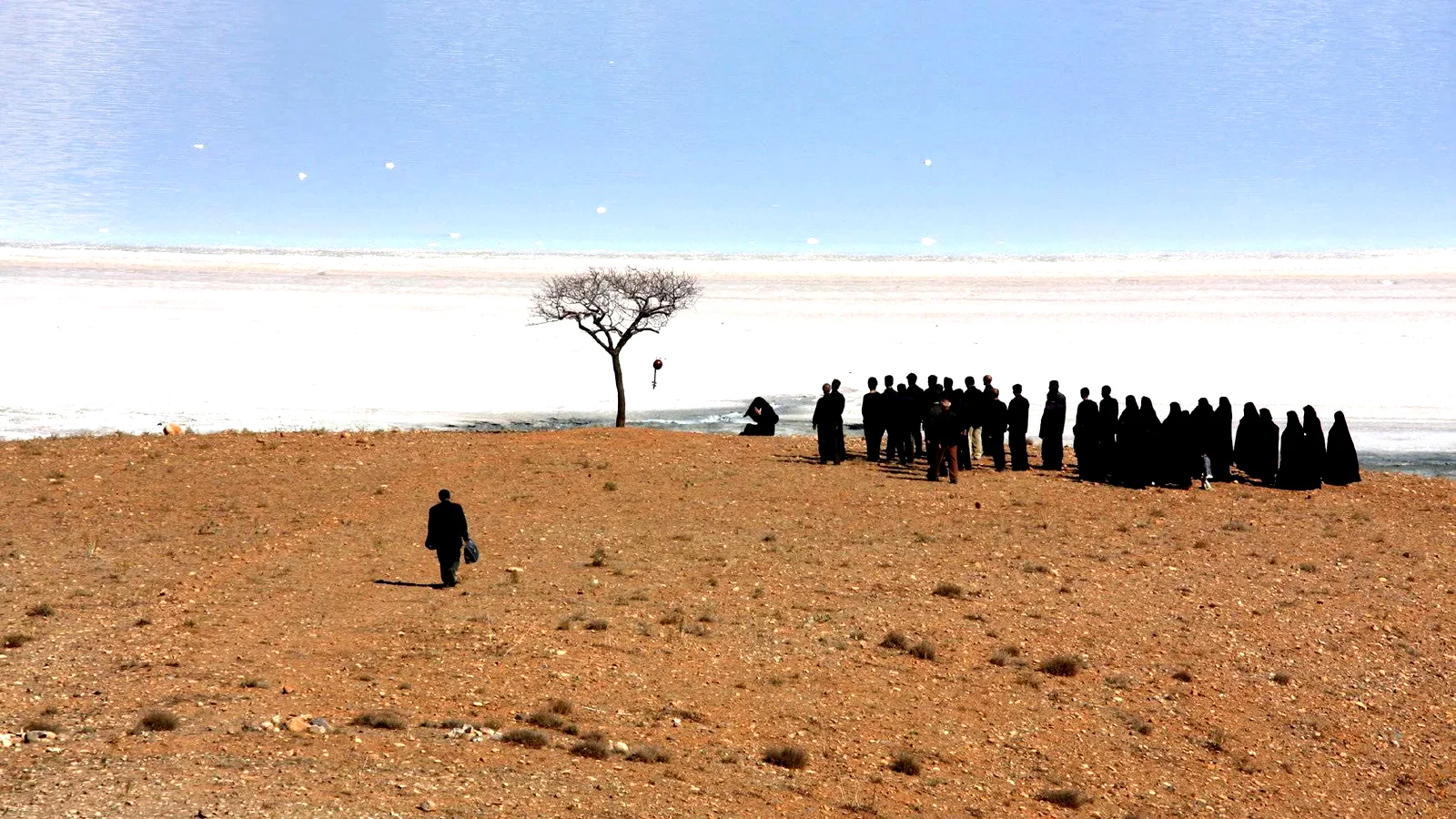 Photo 2 du film : The White Meadows