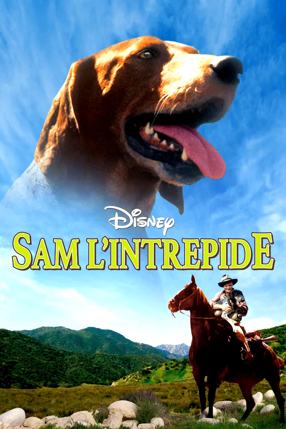 Affiche du film : Sam l'intrepide