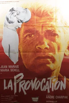 Affiche du film La provocation