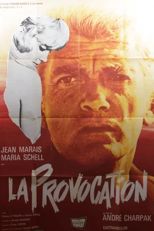 Affiche du film : La provocation