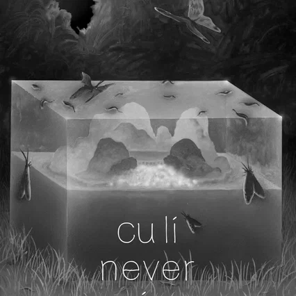 Miniature photo du film : Cu Li Never Cries