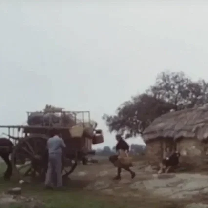 Miniature photo du film : Les saints innocents