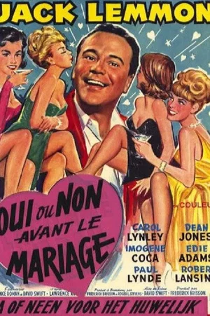 Affiche du film : Oui ou non avant le mariage