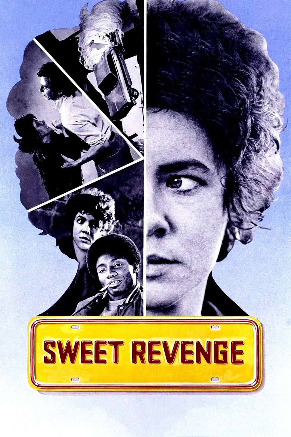 Affiche du film : Vol a la tire