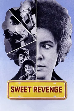 Affiche du film Vol a la tire