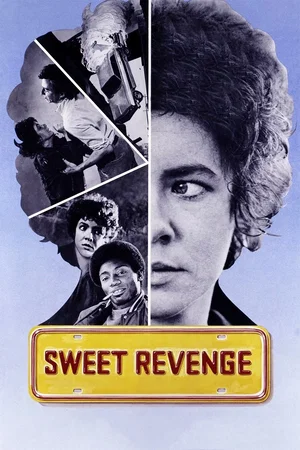 Affiche du film : Vol a la tire