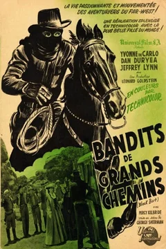 Affiche du film Bandits de grands chemins