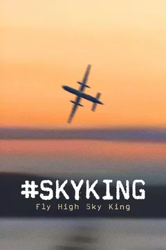 Affiche du film #SKYKING