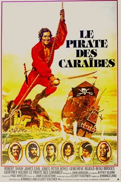 Affiche du film Le Pirate des Caraïbes