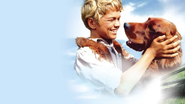 Photo 1 du film : Compagnons d'aventure