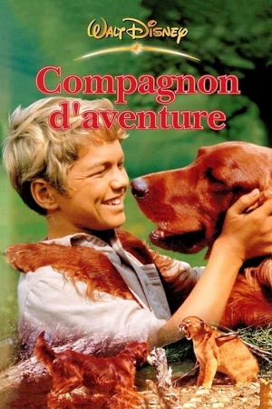 Affiche du film : Compagnons d'aventure