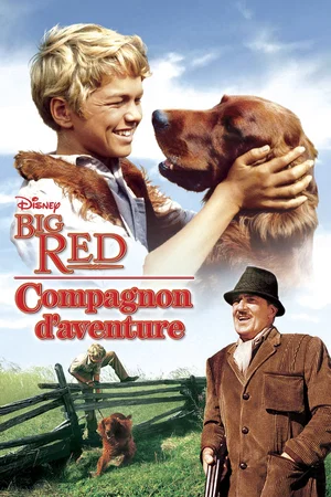 Photo 3 du film : Compagnons d'aventure
