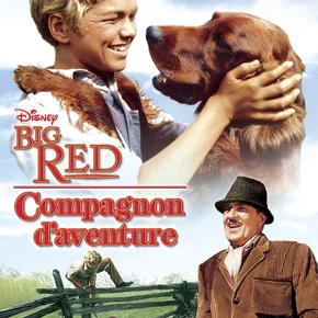 Photo du film : Compagnons d'aventure