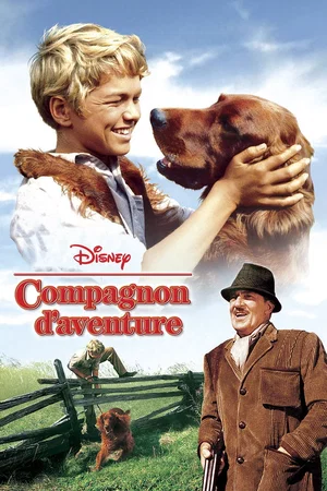 Photo 4 du film : Compagnons d'aventure