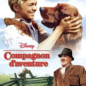 Photo du film : Compagnons d'aventure