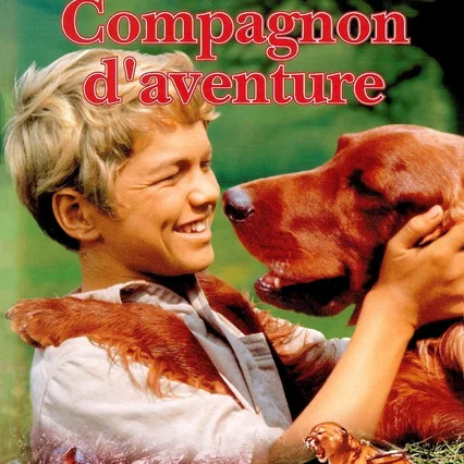 Miniature photo du film : Compagnons d'aventure
