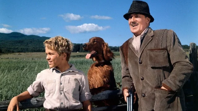 Photo 6 du film : Compagnons d'aventure