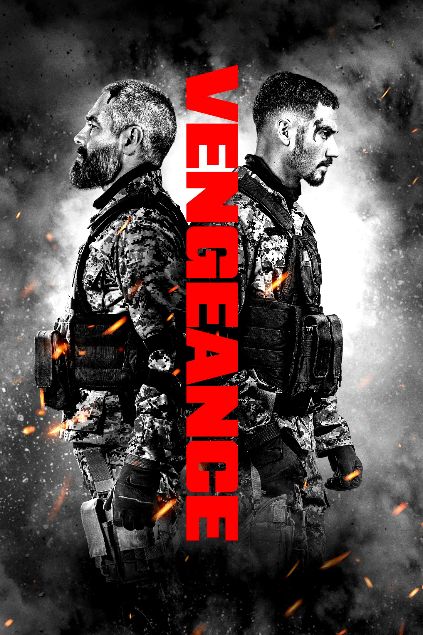 Affiche du film : Vengeance