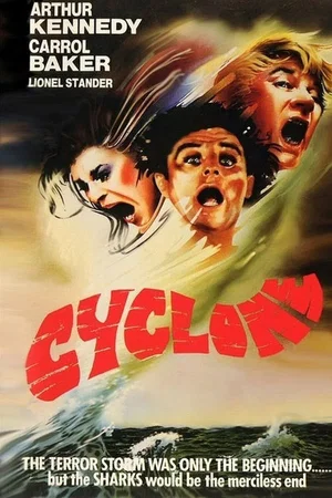 Affiche du film : Cyclone