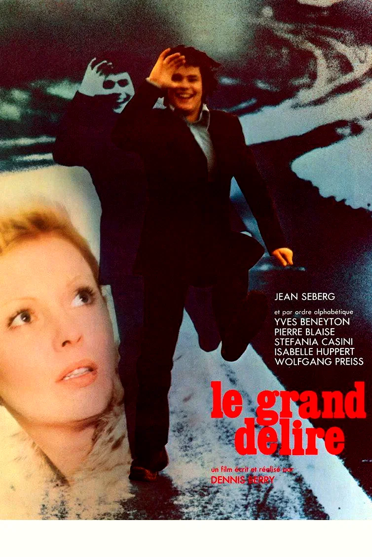Affiche du film : Le grand délire