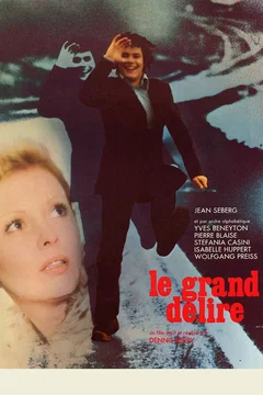 Affiche du film Le grand délire
