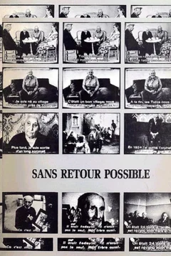 Affiche du film = Sans retour possible