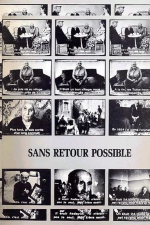 Affiche du film : Sans retour possible