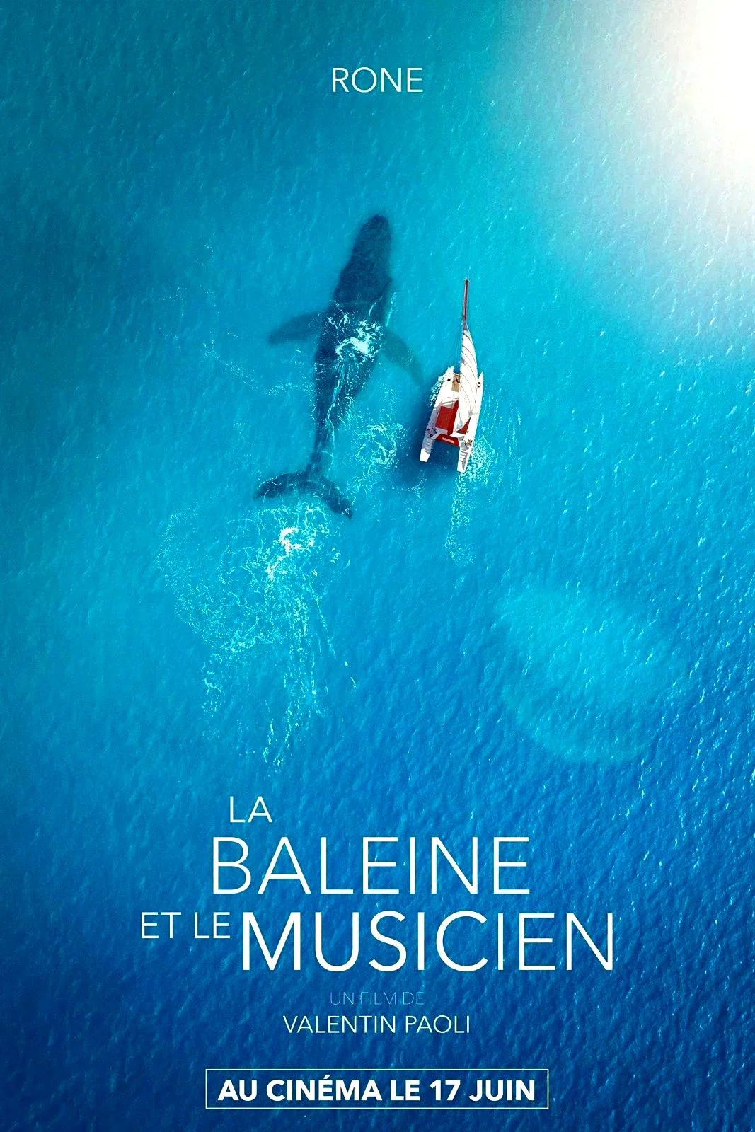 Affiche du film : La Baleine et le musicien
