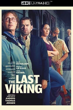 Affiche du film The Last Viking