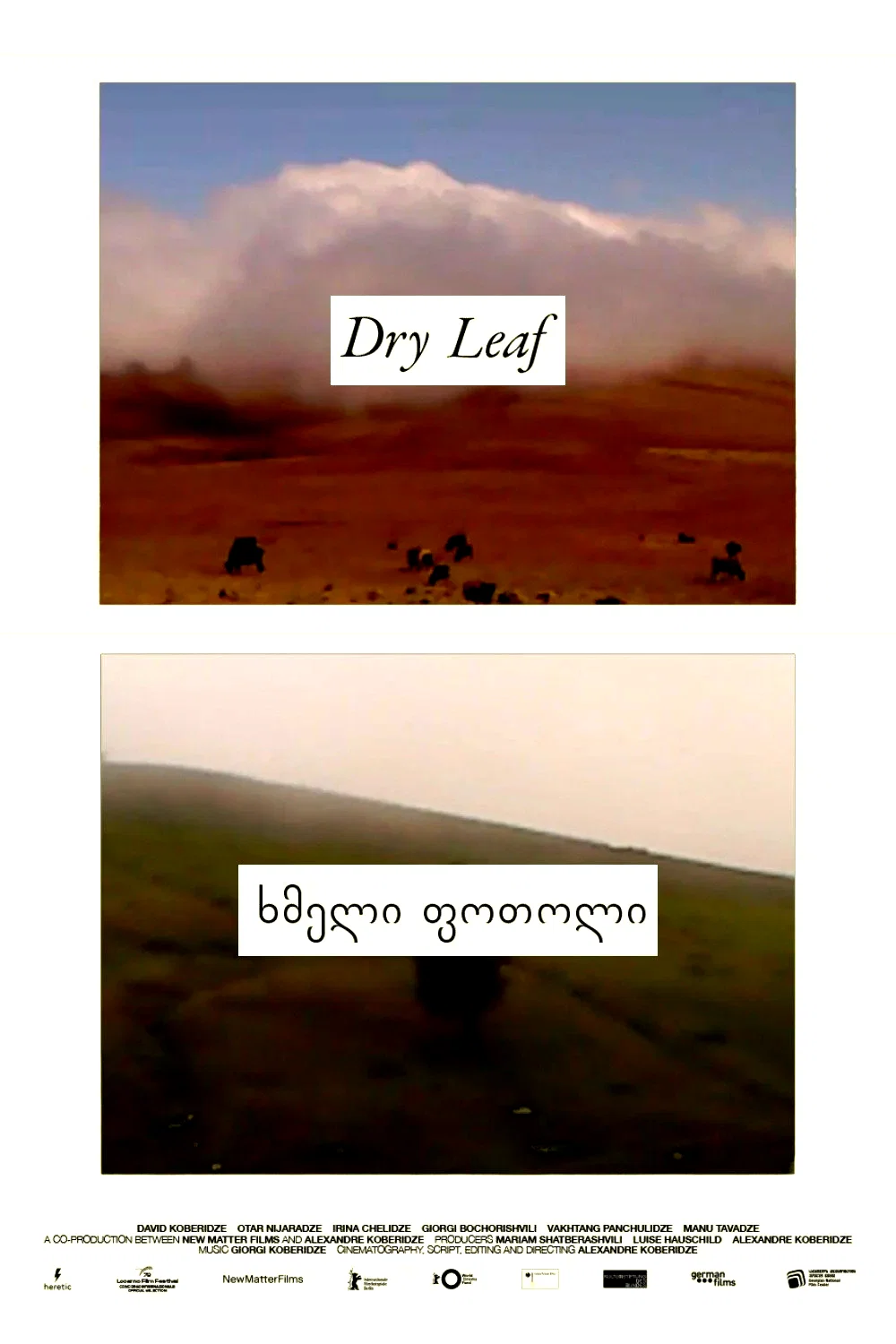 Photo 6 du film : Dry Leaf
