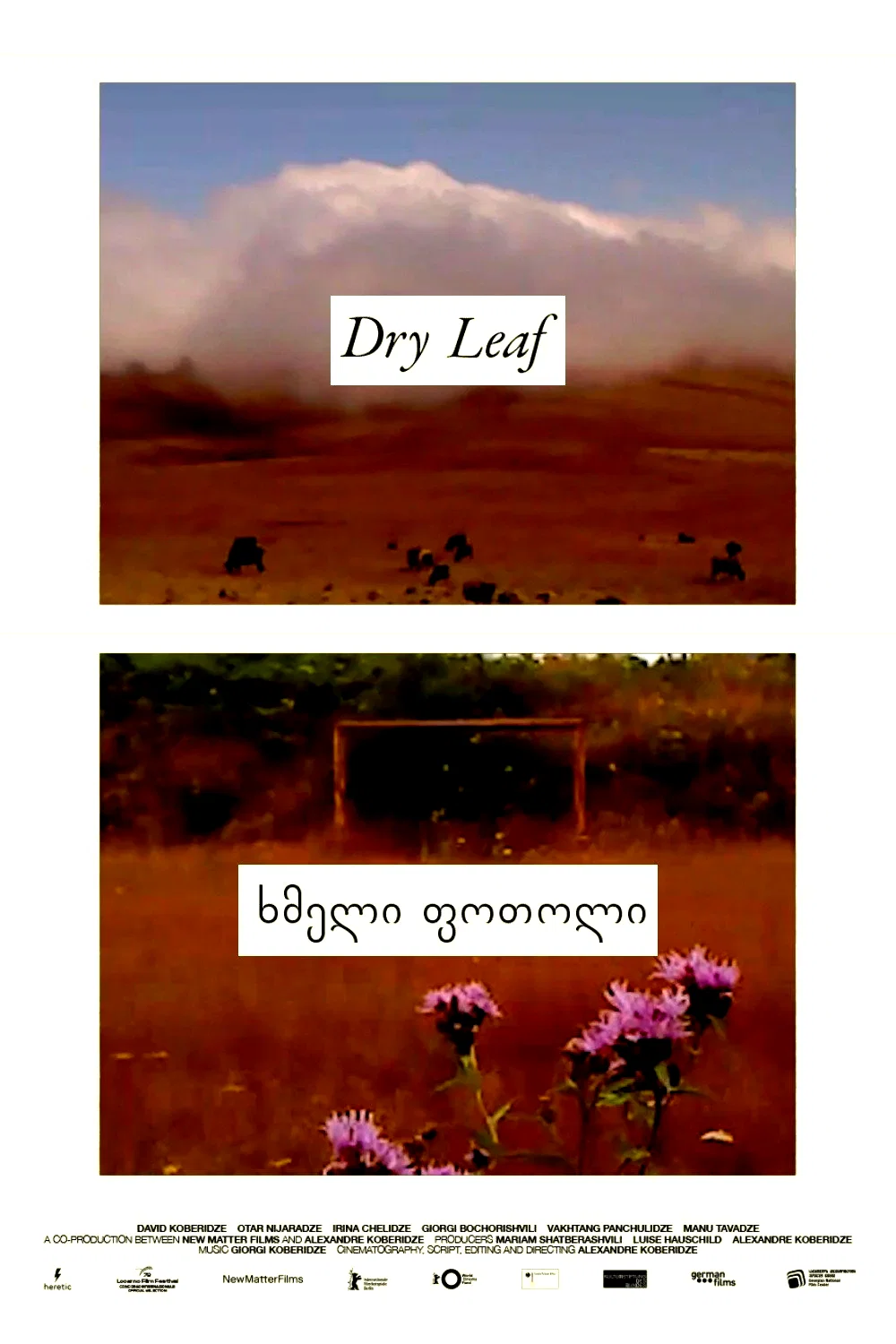 Photo 8 du film : Dry Leaf