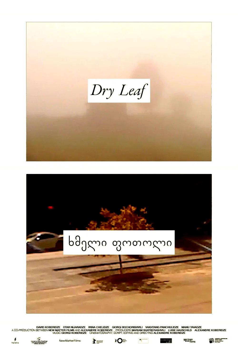Photo 9 du film : Dry Leaf