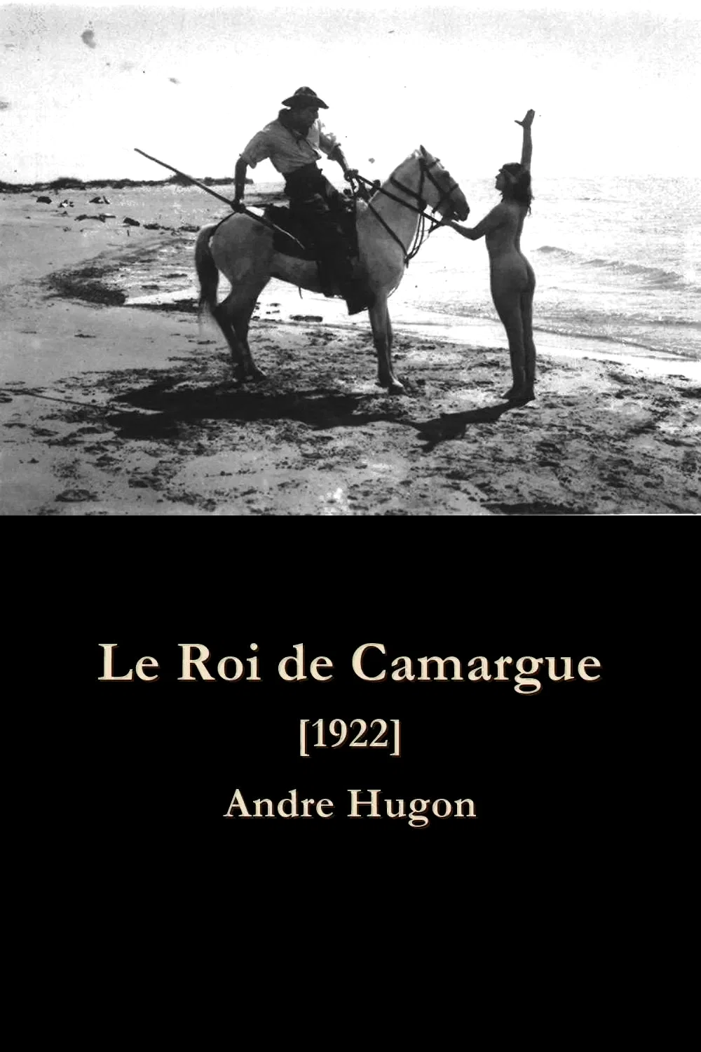 Affiche du film : Le roi de camargue