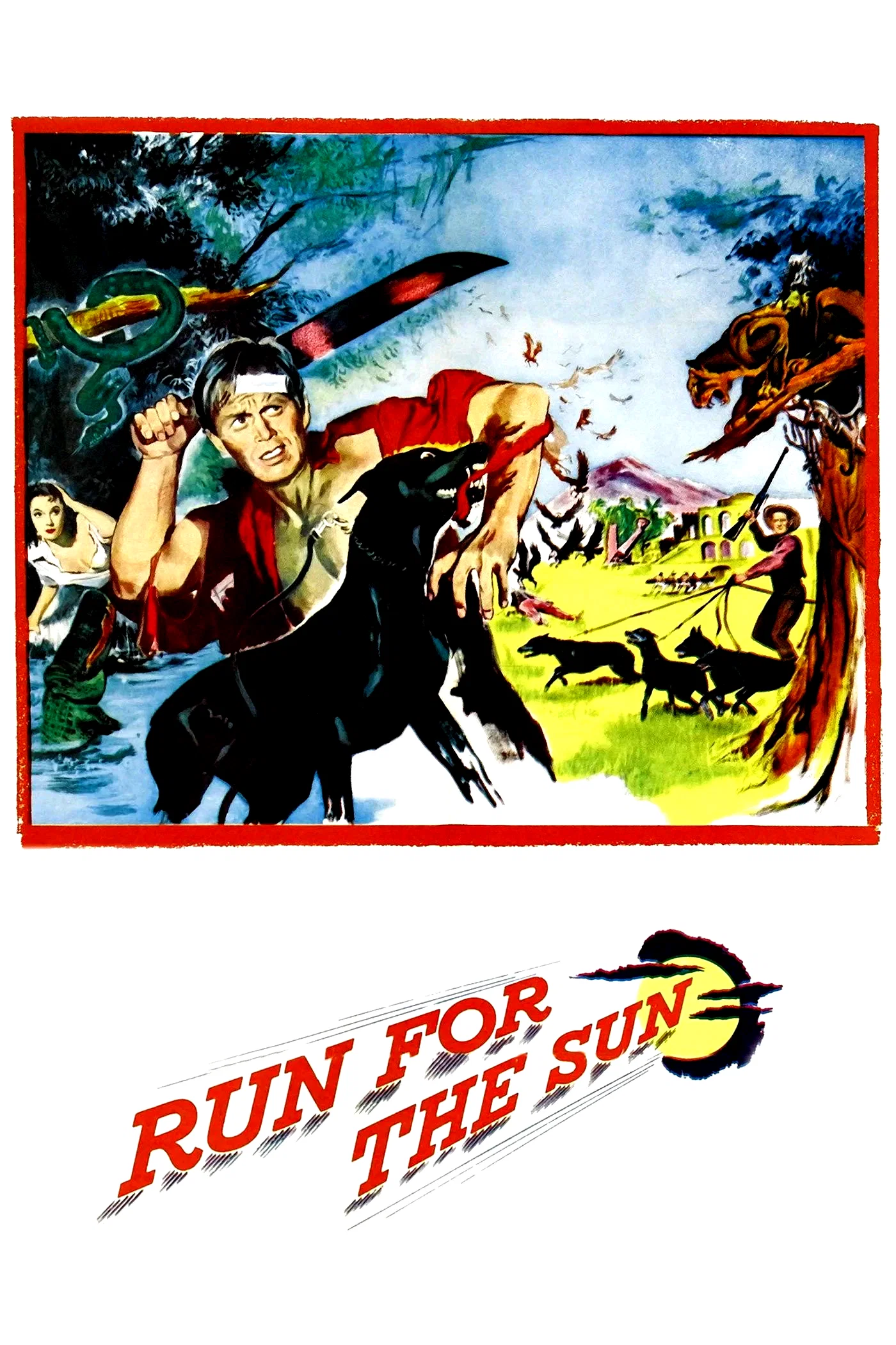 Affiche du film : La course au soleil