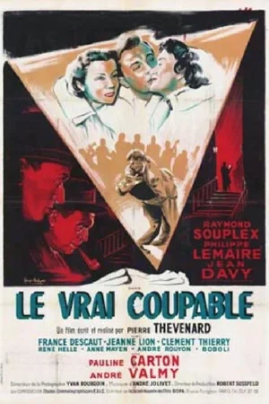 Affiche du film : Le vrai coupable